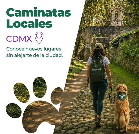 Caminatas Foraneas